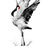 De Kraanvogel: Van Legende tot Persoonlijk Verhaal
